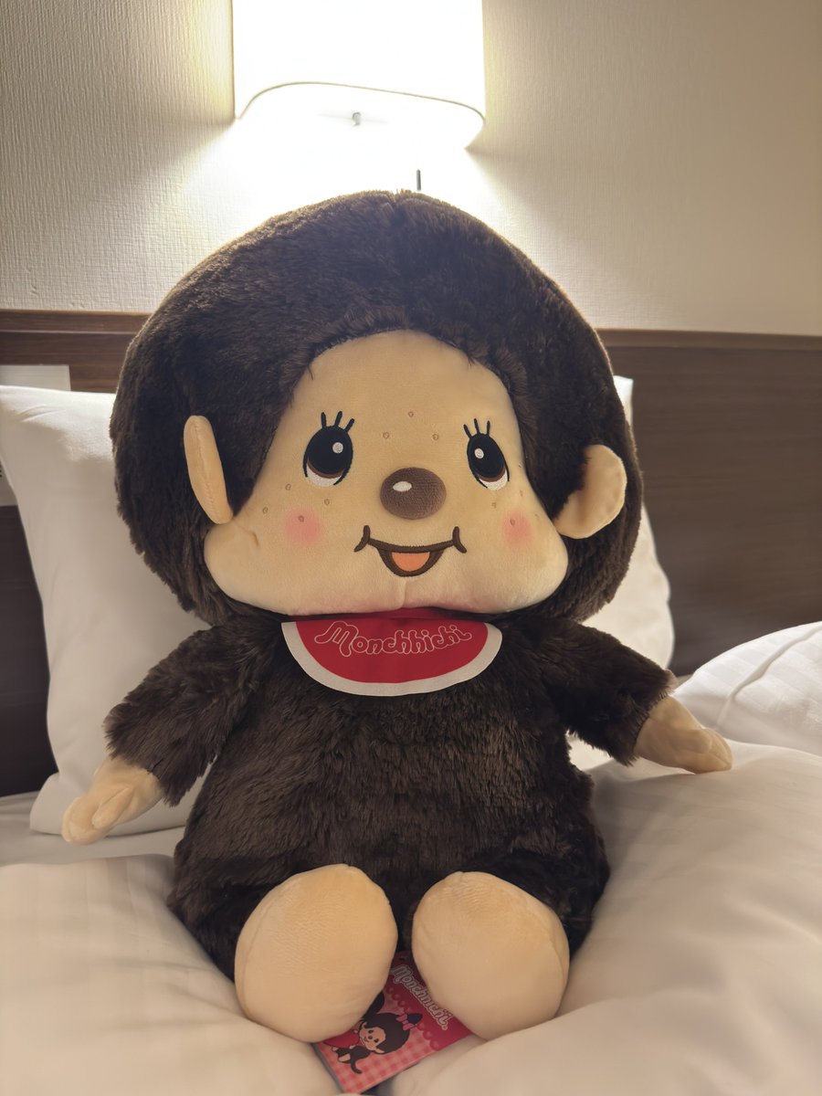 akemi 🐺(￢з￢) (@akemi67321412) / Posts / X