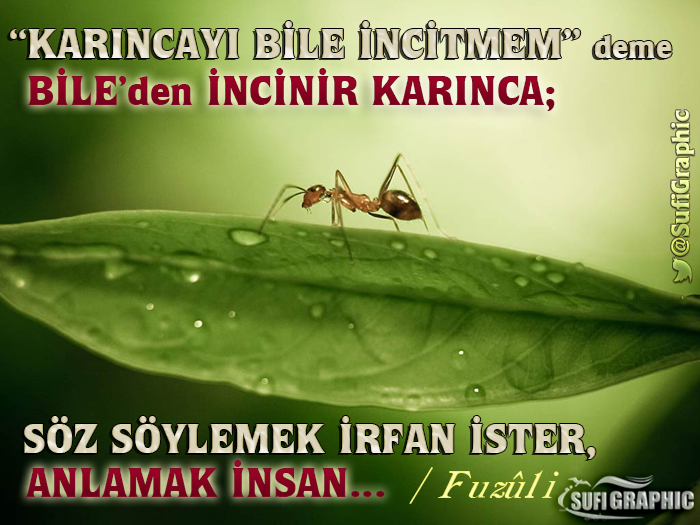 SufiGraphic's tweet photo. #Karınca #Küçümseme #HorGörme #Söz #irfan #idrak #Tevazu #ResimliSözler #ÖzlüSözler #Felsefe #Fuzuli https://t.co/OcOzkdaUv2