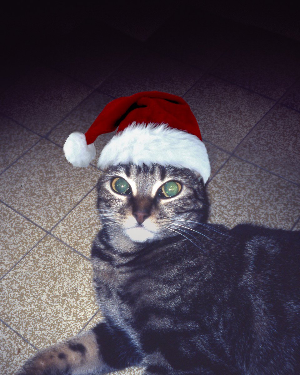 Two Door Cinema Club tweet media