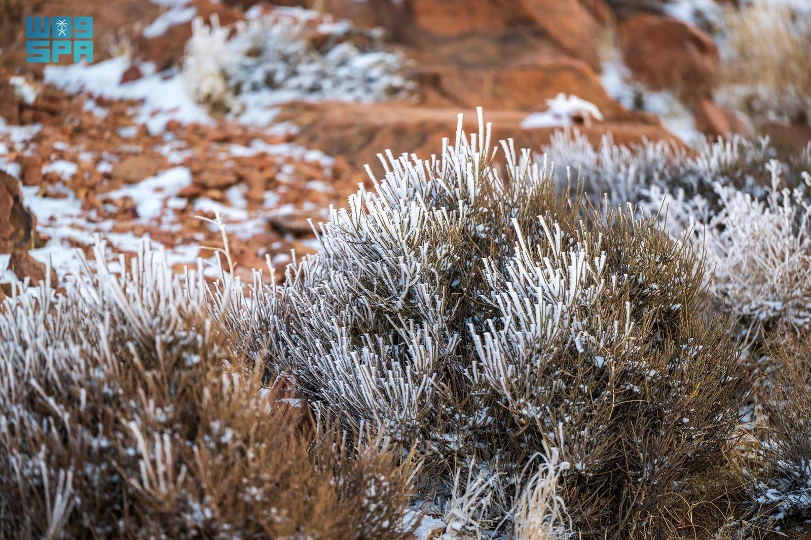الأحد القادم.. بداية الشتاء فلكيًا في المملكة. دخول فصل الشتاء فلكيًا يوم الأحد المقبل.. انخفاض درجات الحرارة وطول الليالي تدريجيًا.. وفق ما أعلنت الجمعية الفلكية بجدة 