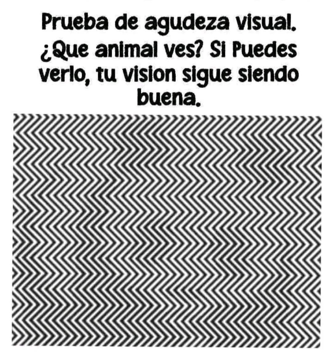 Errores gramaticales tweet media