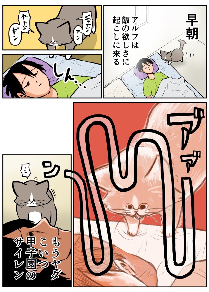 鴻池 剛 (@TsuyoshiWood) / Posts / X