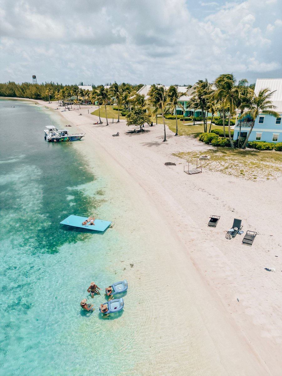 80 degrees, palm trees, and a Christmas breeze. 

#TheBahamas #HolidaySeason