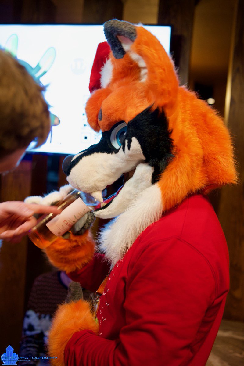 Solo AWD/ Ruki Fox 🔜 CFz tweet media