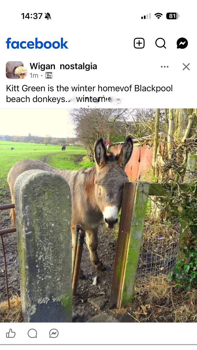 Matt Webster tweet media