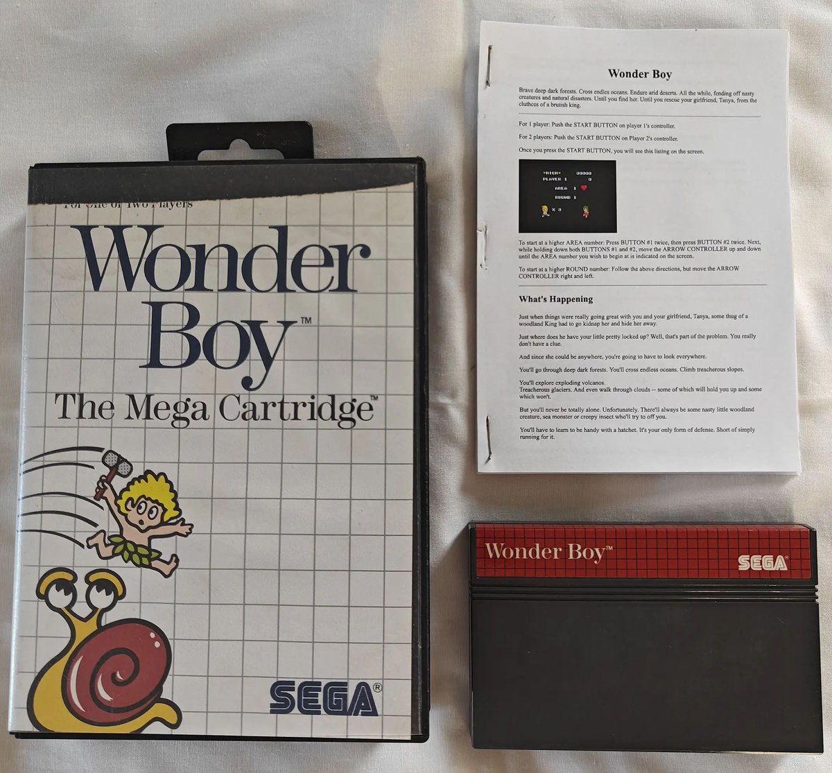 SumthingsRetro's tweet image. New sale: Wonder Boy (Sega Master System - EU) (A$20.00) by evilsim.
sumthings.com/games/30186/sa…
#games #retrogaming