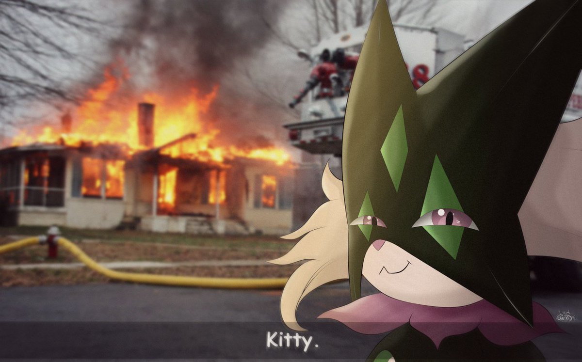 peirot1337's tweet image. Kitty.