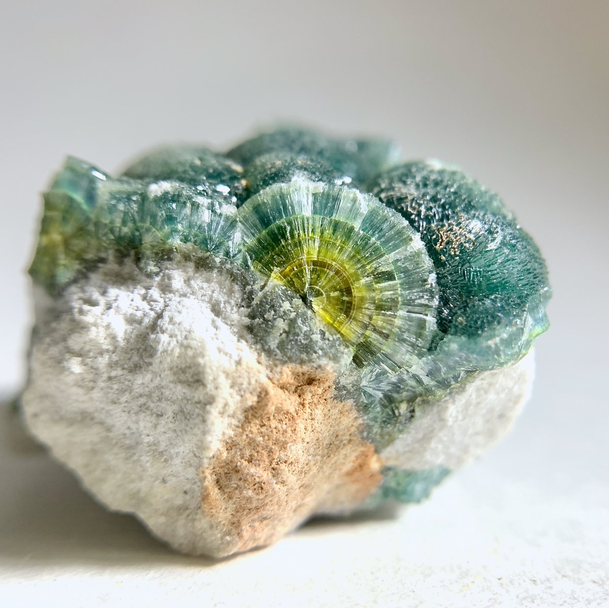 カズホ (@kxhmkmi) / Posts / X