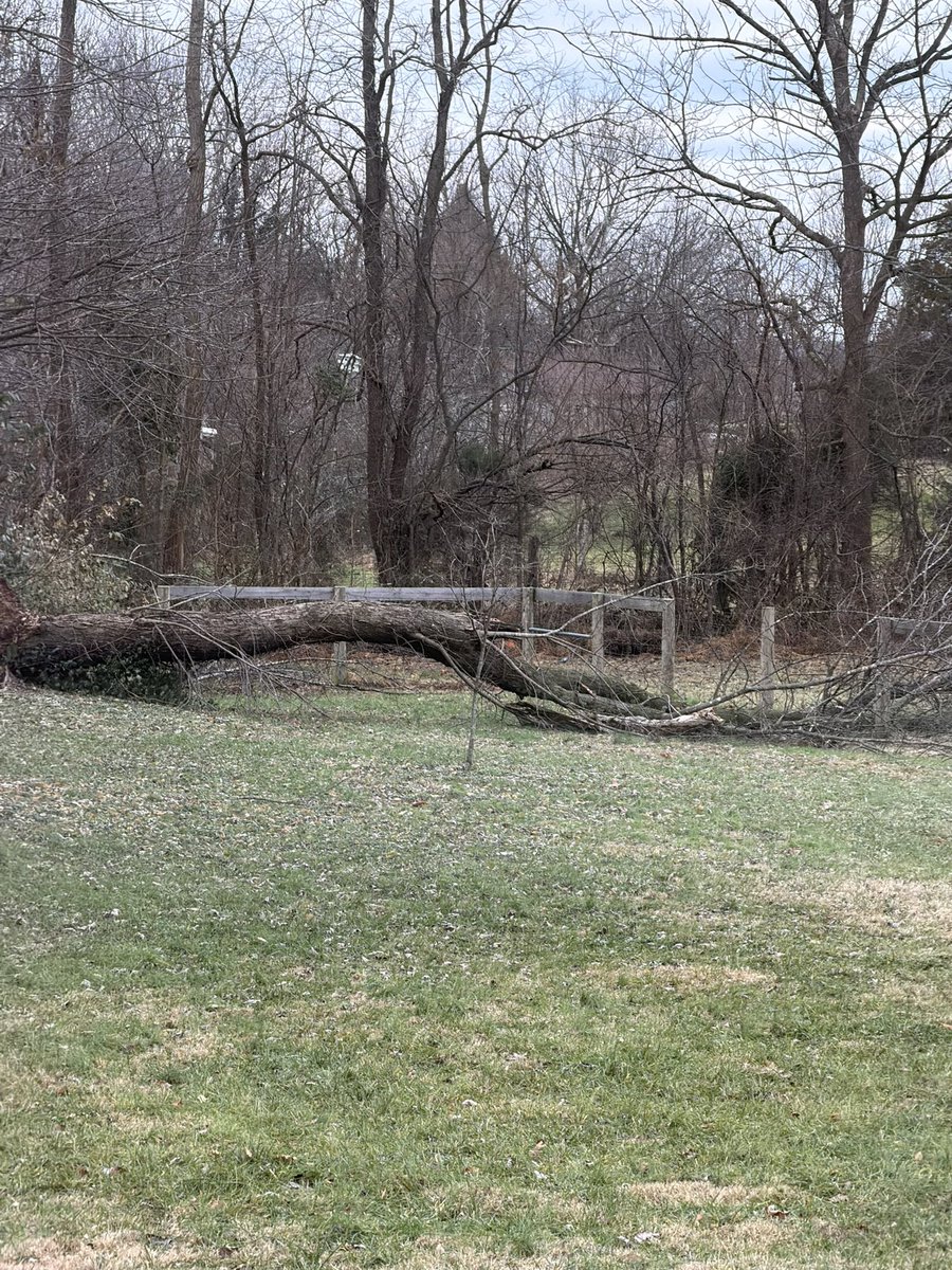 briansanders0's tweet photo. @JudeRedfield Hey Jude, this is Barry Cecil’s son in law. Reporting trees down in Coxs Creek from last nights gust. https://t.co/lnlywMQQXN