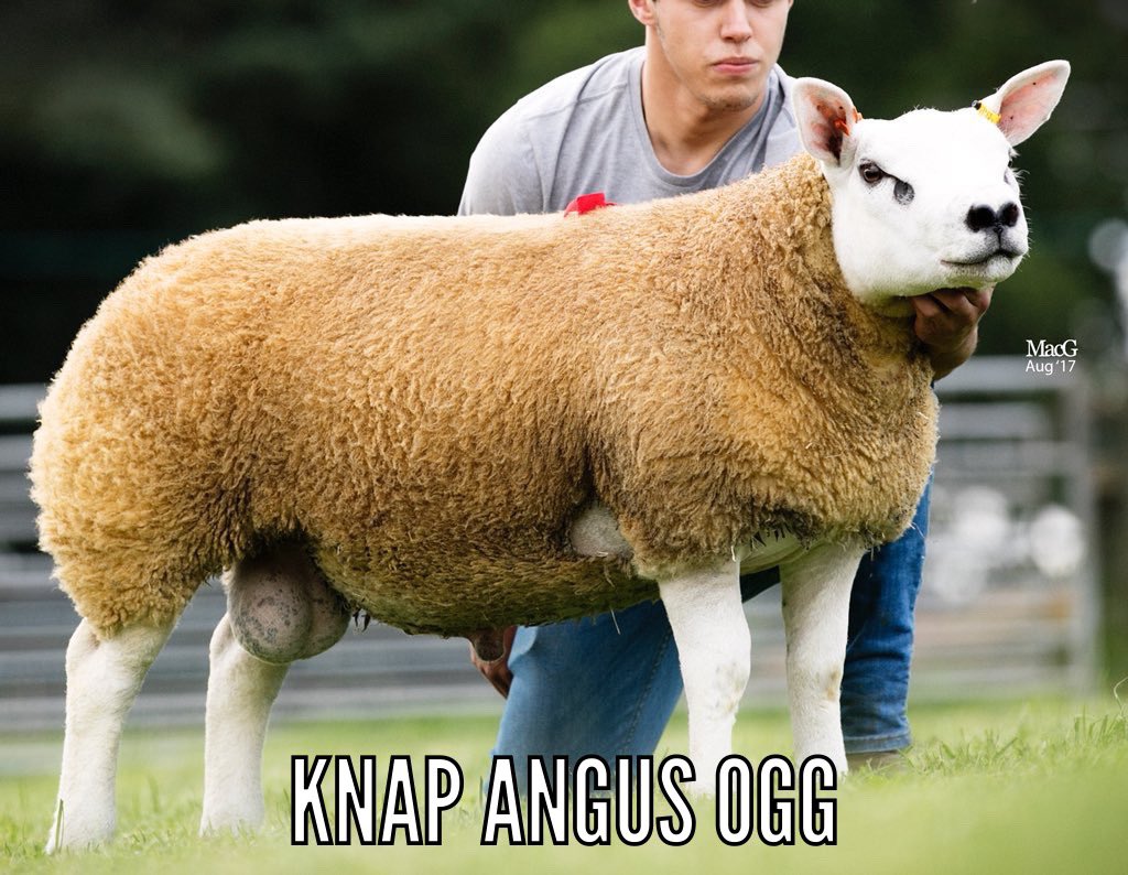 🏴 Aman tweet media