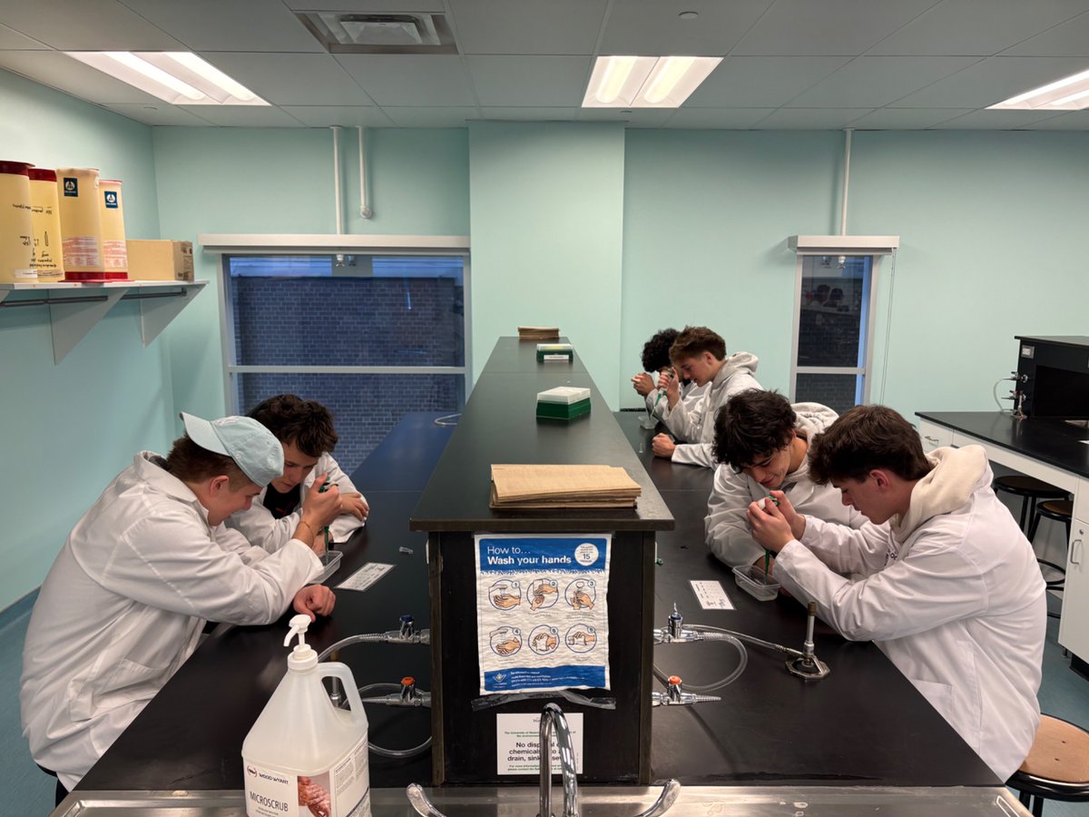 Holy Trinity CHS tweet media