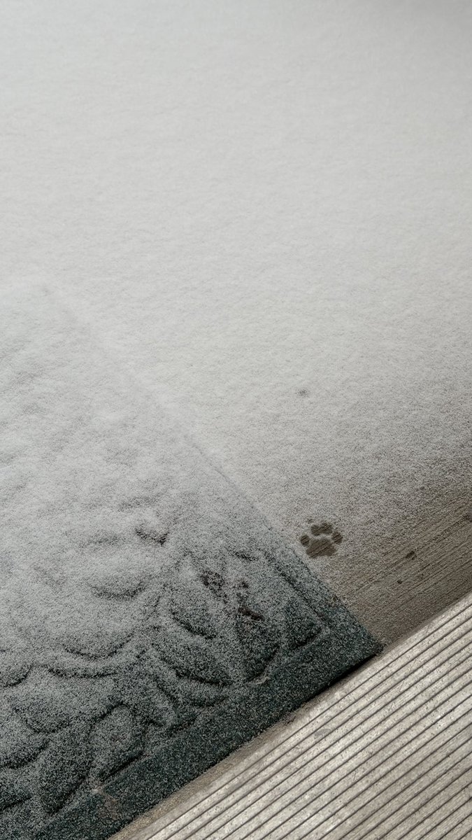 Elijah Kleinsmith tweet media