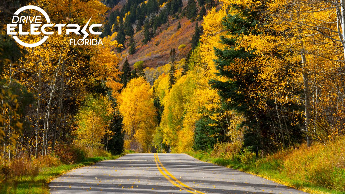 Did you know that driving an EV doesn’t just help the planet, it helps your health too? 🌱

Here’s how:
🌬️ Cleaner air
🔊 Less noise pollution
🏃‍♂️ Better communities

Drive clean, live clean! 🌱💪
#HealthierPlanet #CleanAir #ElectricCars #WATTSUpWednesday