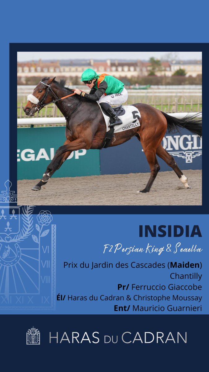 HARAS DU CADRAN tweet media