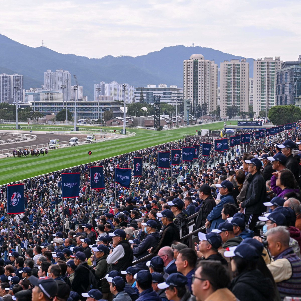 InterThorough's tweet image. Geldings maintained their trend of dominance in Hong Kong, writes @demoubrayj in Xtra

He  also argues that, unless European breeders start to produce middle-distance performers at scale, forget £££ increases, the future of the Epsom Derby may be reliant on the race being opened…