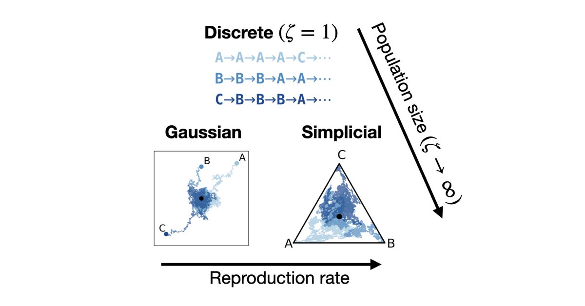 AlanNawzadAmin's tweet image. If you want to do diffusion on discrete data, you have three choices: discrete, Gaussian, or simplicial. How are they related? Which should you use? We theoretically unify all three and train one model to do them all! @AlinaChandra @yucenlily @alex4ali @andrewgwils 1/7