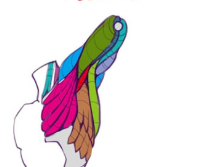 PartisticDay's tweet image. Gun to my head, if I were told to draw this we both dying.