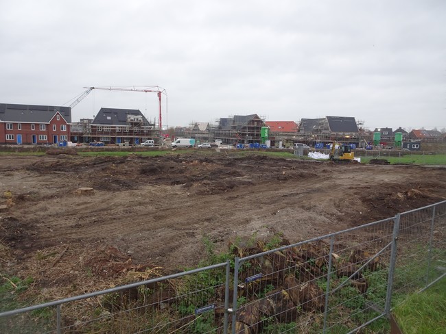 PvdA Lansingerland tweet media