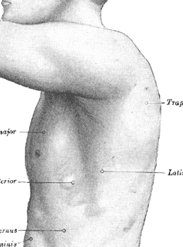 PartisticDay's tweet image. Gun to my head, if I were told to draw this we both dying.