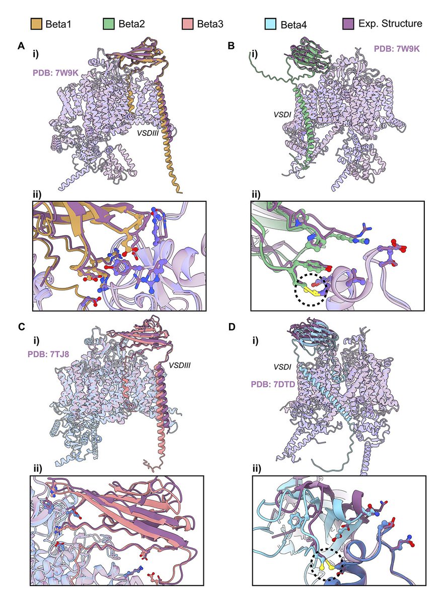 Journal of General Physiology tweet media