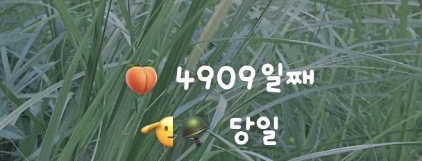 밤 tweet media