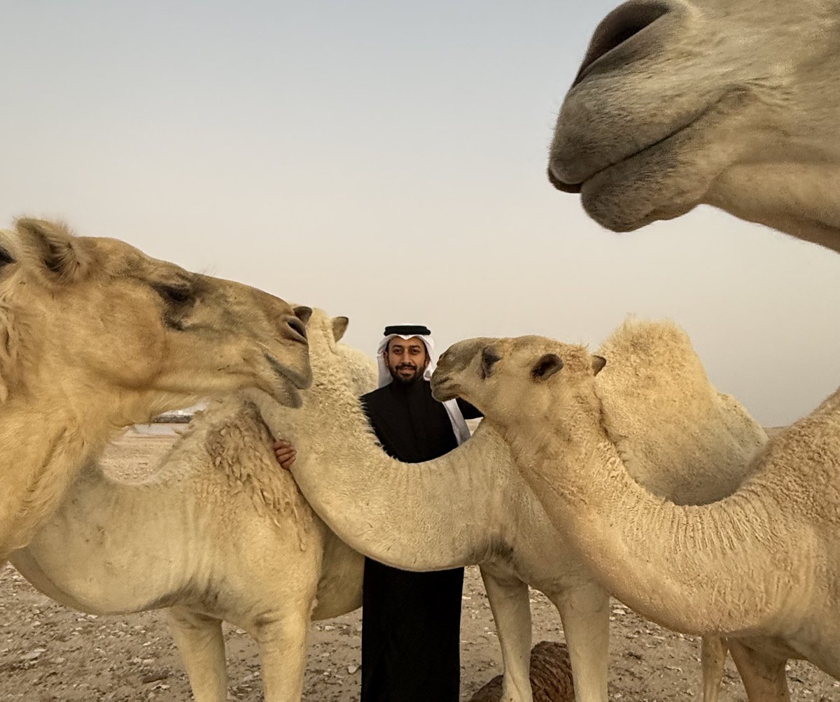 Almaadeed's tweet image. قال الله تعالى:
﴿أَفَلَا يَنْظُرُونَ إِلَى الْإِبِلِ كَيْفَ خُلِقَتْ﴾ [الغاشية: 17]