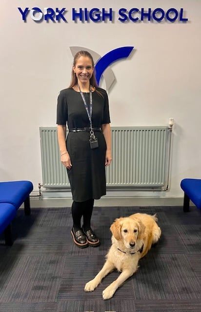 York High School tweet media