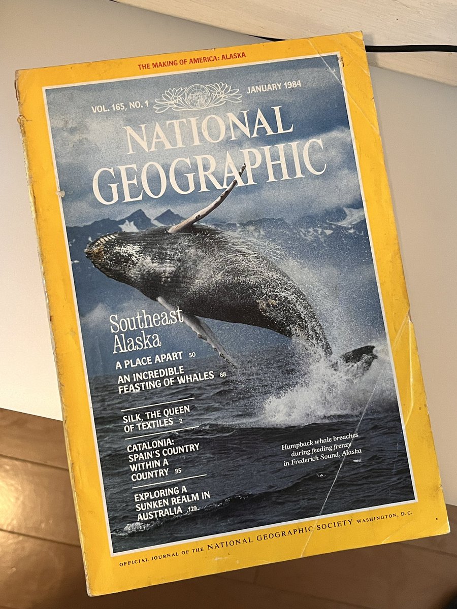 piccolonet's tweet photo. 最近、専門学校の授業でNationalGegraphicの記事を教材で活用している。
もう本は出してないからネットで最新情報を。英語だけど今の時代、如何様にもなります。
これは以前からずっとやってみたかったことなんです。

写真は僕が古本屋で最初に買ったナショジオ。
#natgeo https://t.co/L3SkoF6004