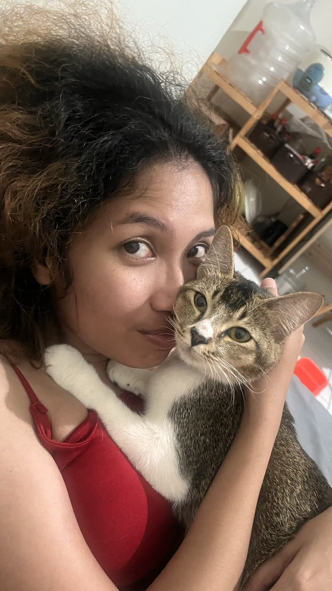 nitedrones's tweet photo. Perkenalan dulu. Ternyata Tanya beneran Certified Catsitter ™ https://t.co/V9R2s7opzn