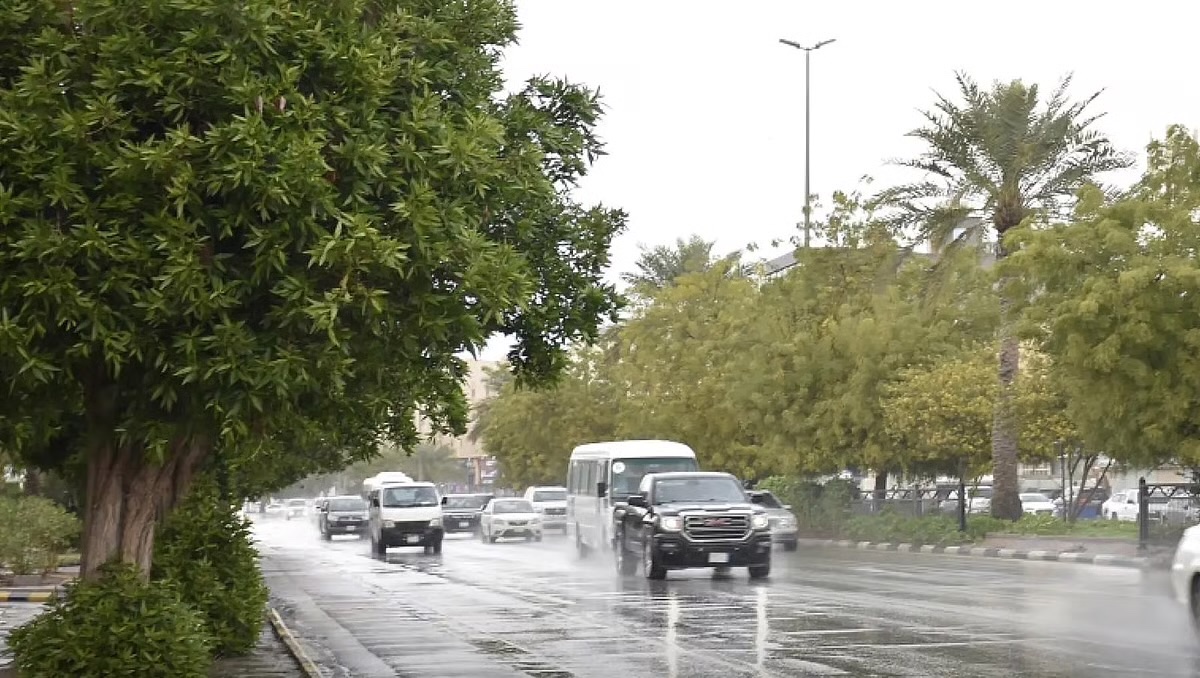 الشرقية تتصدر الحالة المطرية في المملكة بـ31 ملم في الخفجي. أعلى كمية أمطار سُجلت في الخفجي (31 ملم) تلتها الجبيل وحفر الباطن.. أمطار متفرقة شملت 4 مناطق: الشرقية، الرياض، القصيم، عسير.. رصدت الحالة عبر 65 محطة خلال 24 ساعة وفق وزارة البيئة والمياه والزراعة 