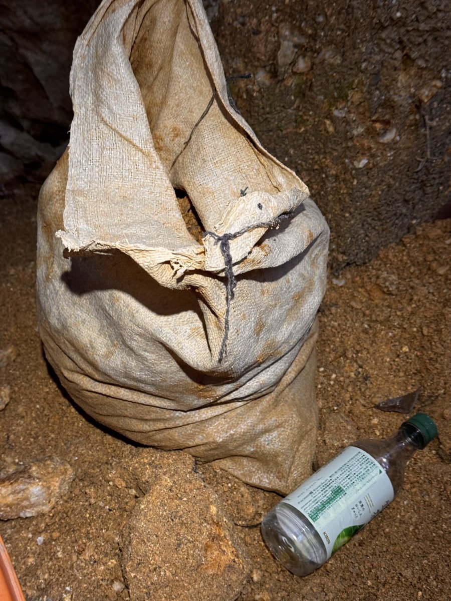 mgasta25's tweet image. 昨日は久々に軽く採集...のつもりがこれ。
鈍った身体にはちときつかった。
色んなとこが筋肉痛..笑