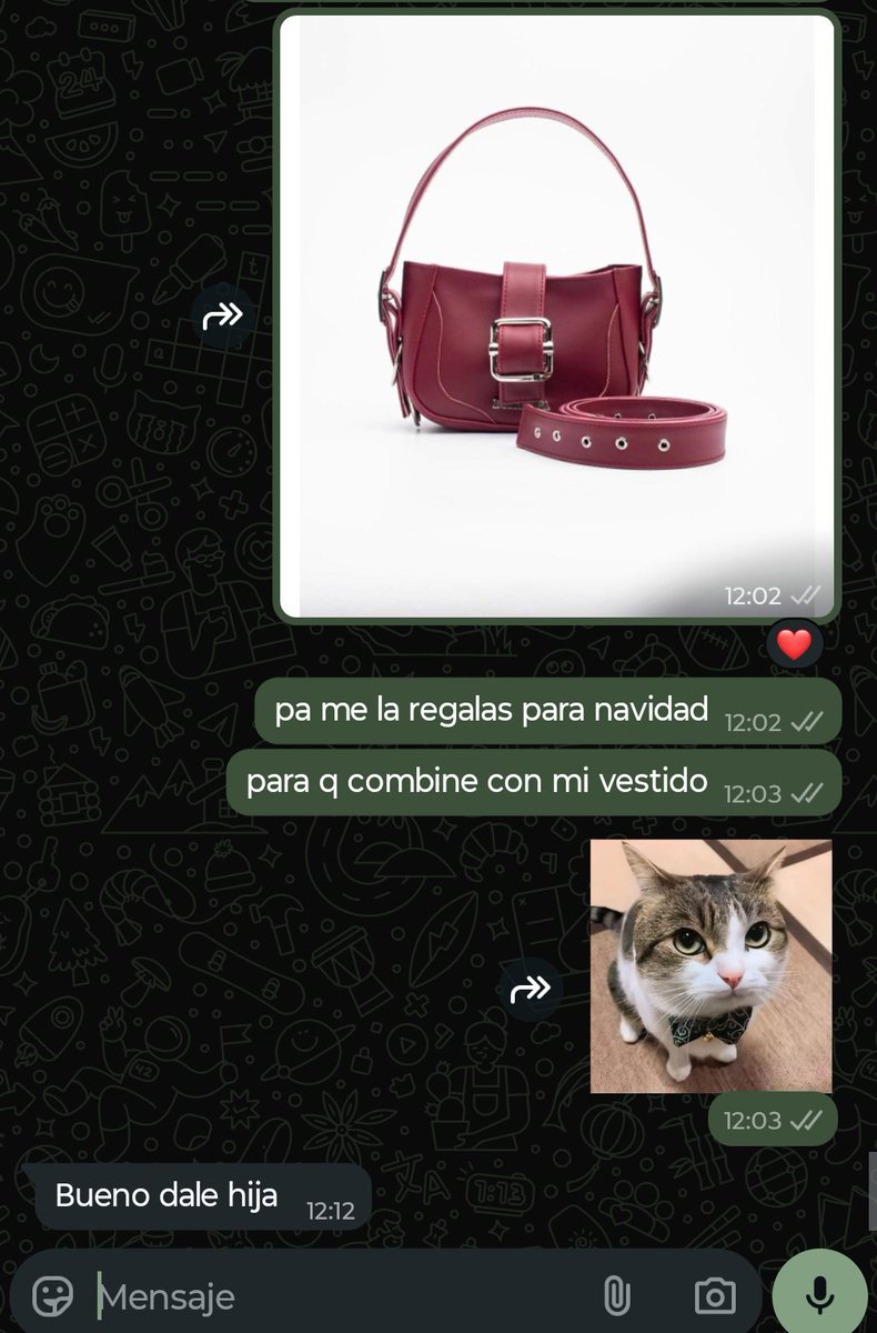 Aixacisnero20's tweet photo. me iba a comprar una cartera de Domenica pero me acordé q tengo papá https://t.co/VwC5jwhGQW