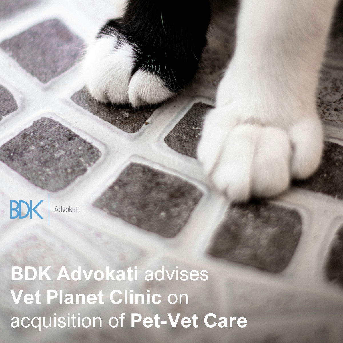 BDK Advokati advised Vet Planet Clinic on the acquisition of 100% of the shares in the Belgrade-based animal healthcare institution Pet-Vet Care.
This transaction represents the second #acquisition in the #veterinary sector on which BDK has advised PCP. bdkadvokati.com/bdk-advokati-a…