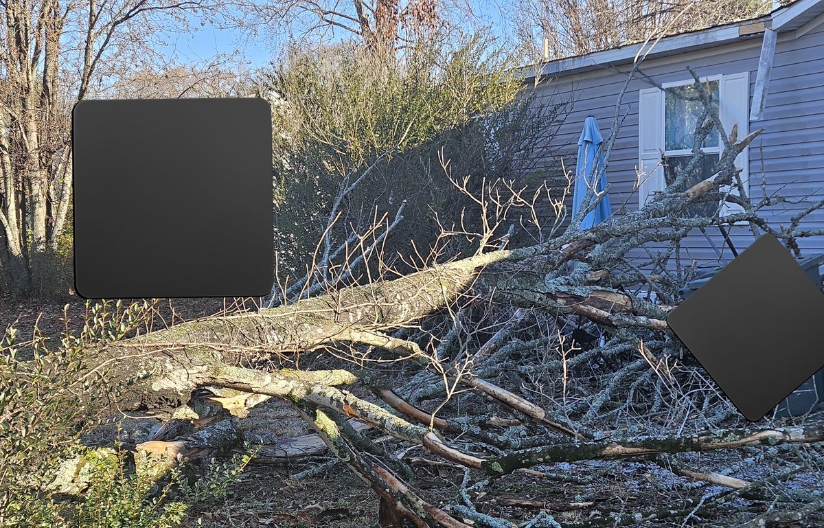 AkaAlbinoFerret's tweet photo. Yeah, so its genuinely not as bad as I thought, but still. 😭 I blocked out the neighbors house for privacy. Any retweets on this would be amazing!

https://t.co/53qe2U7UXK https://t.co/ibGdcgfnEy