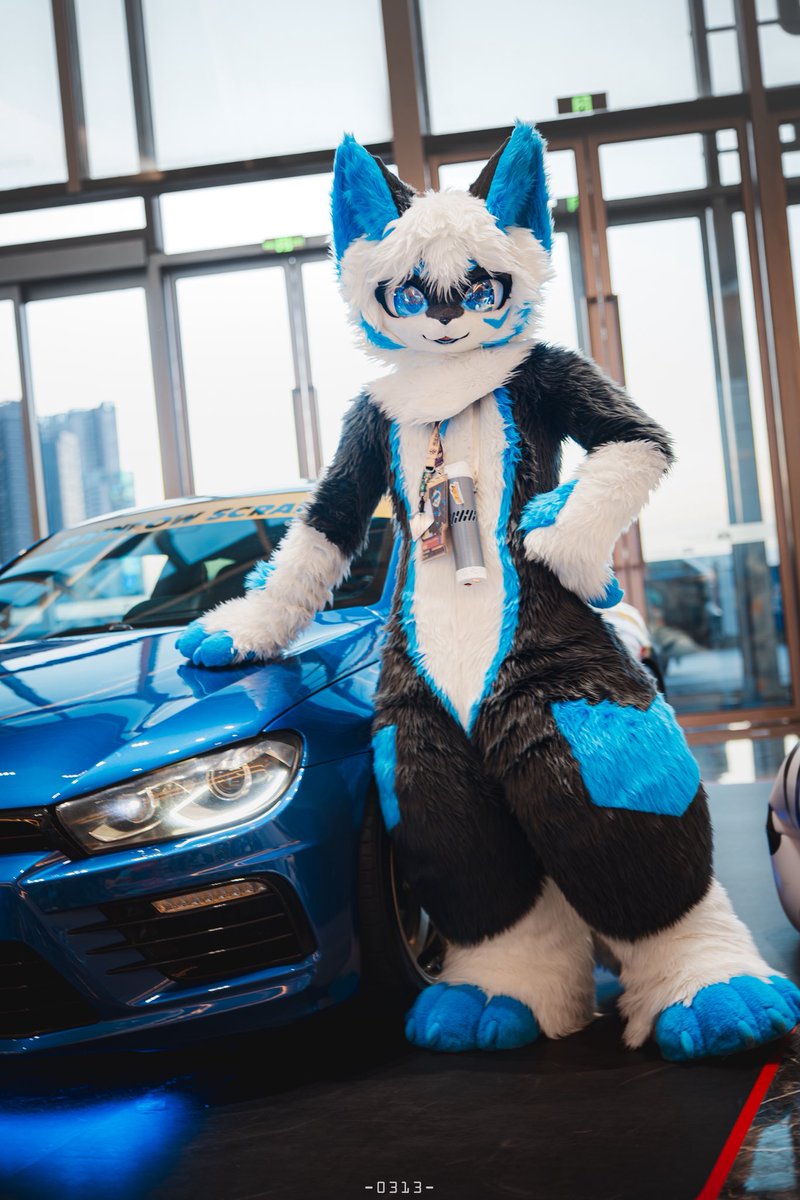 #FursuitFriday 
Car,Blue,White,Black~
So am I ~

(Actually im grey :3

🚙 From RainbowScratch
📷 ：億年