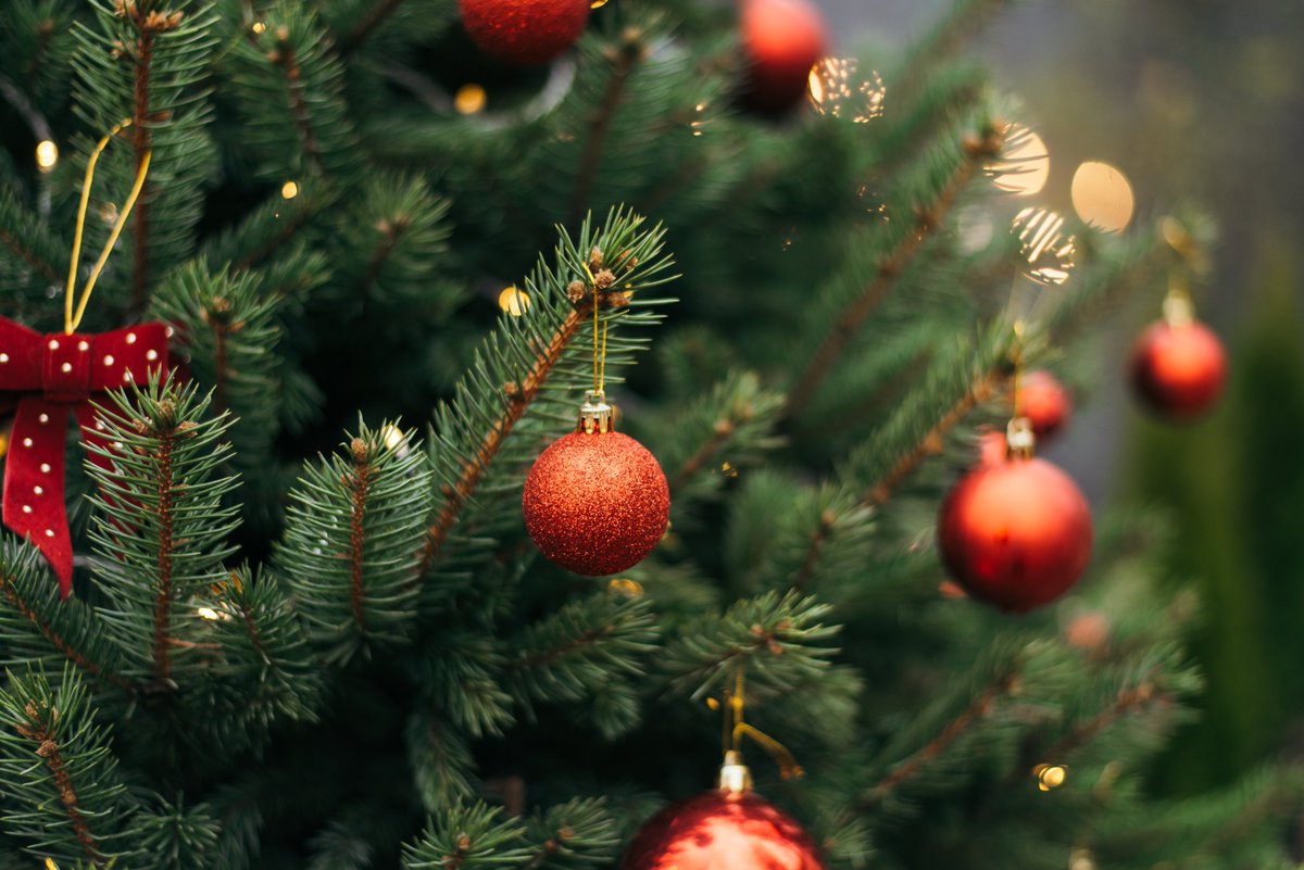 Chatel_Guyon's tweet photo. 🌲 La Ville organise la collecte de vos sapins de Noël naturels  ♻️
Après les fêtes, participez à l'opération de recyclage des sapins broyés en paillis pour les espaces verts !
📅 Du 29/12 au 23/01
📍 Petite place rue du Moulin (accessible depuis l'avenue des États-Unis) https://t.co/ZAQ0siyDj1