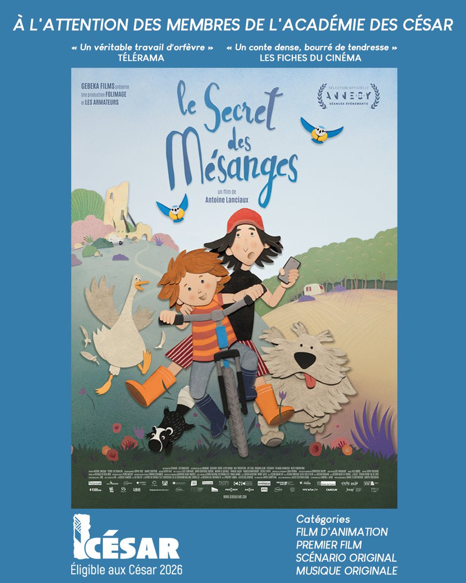 FOLIMAGE tweet media