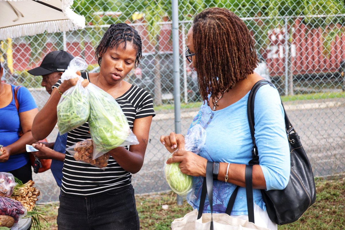 Min. of Agriculture, Fisheries & Mining, Jamaica tweet media
