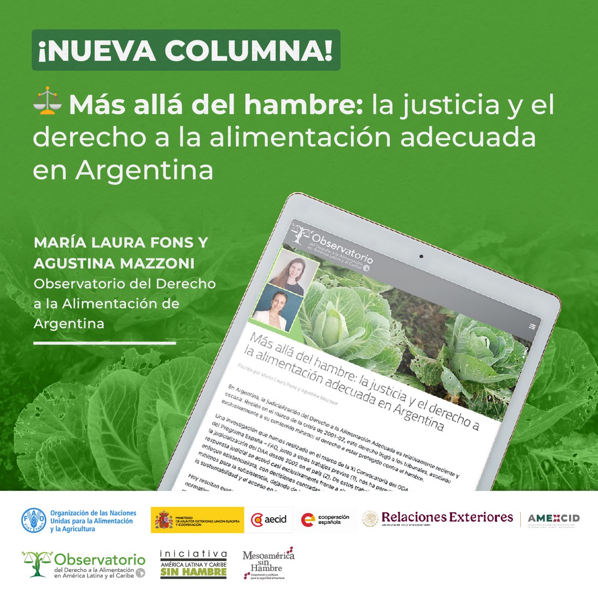🍏¿La justicia puede garantizar una alimentación sana, más allá de evitar el hambre?

📚El ODA #Argentina🇦🇷 analiza cómo la justicia amplía su enfoque hacia la calidad nutricional.

🔗Lee el análisis de las #UniversidadesContraElHambre
oda-alc.org/articulos/dere…