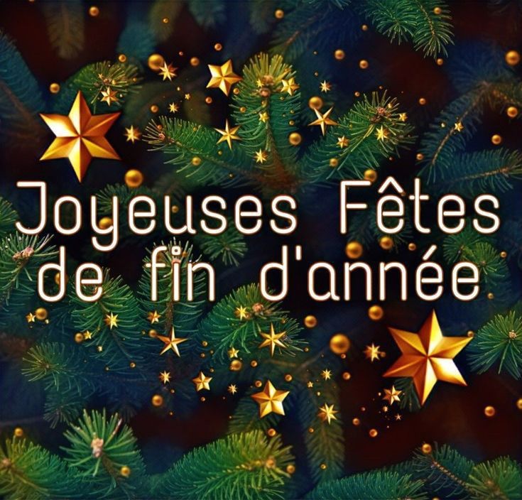 LignDesCevennes's tweet photo. 🚨 CIRCULATIONS 🚆+ 🚌 SUPPRIMÉES sur Ligne des Cévennes entre  Langogne et Alès &amp; TransLozérien entre Mende et La Bastide de ce vendredi soir 19/12 à mardi midi 23/12.
Départ raté pour les Fêtes 🎉 🥳🎄🎅
@GardUsagers/Lozère prévenus au dernier moment 😡😤
👏 @lio_train_sncf❗️ https://t.co/OUwVHsx80Z