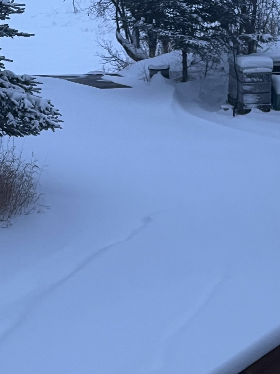 Turtle Lake Watershed tweet media