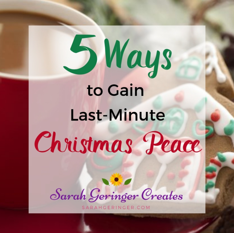 SarahLynneCR's tweet image. Here are five practical ways you can find last-minute Christmas peace.  #selfcare #organization #Christmaspeace sarahgeringer.com/5-ways-christm…