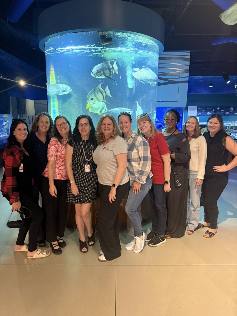 Lauren Peragine tweet media