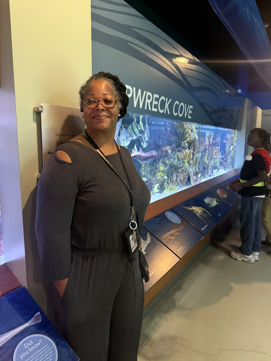 Lauren Peragine tweet media