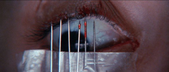 👁 𝔹𝕠𝕩𝕚𝕟𝕘 ℍ𝕖𝕝𝕖𝕟-𝕒 👁 tweet media