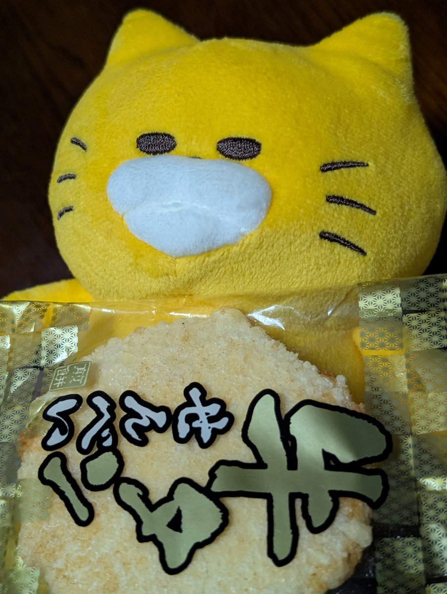 ⭐️スペシャル価格⭐️☘️ラスト2☘️❤️セール❤️369❤️ 超希少❤️ 【ヨシノ】 しのし (@4no4_4no4) / Posts / X