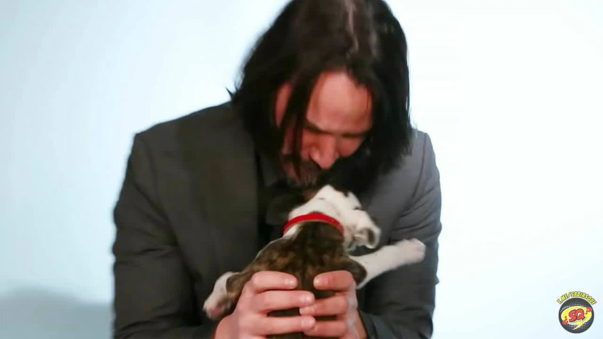 rosapantin1301's tweet image. Feliz día, humanidad, el actor Keanu Reeves inagura el refugio gratuito para perros y gatos mas grande del mundo, el actor invirtió 100$ millones de su bolsillo en su construcción, los animales no serán sacrificados, recibirán cuidados toda su vida.
 Keanu personaje del año? Siii