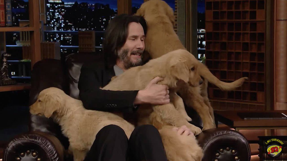 rosapantin1301's tweet image. Feliz día, humanidad, el actor Keanu Reeves inagura el refugio gratuito para perros y gatos mas grande del mundo, el actor invirtió 100$ millones de su bolsillo en su construcción, los animales no serán sacrificados, recibirán cuidados toda su vida.
 Keanu personaje del año? Siii