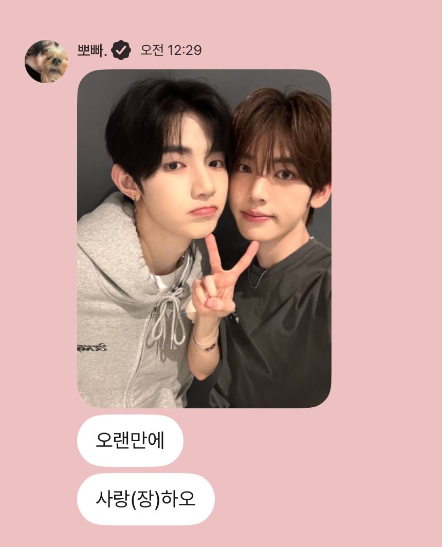 haofnoon's tweet image. 행운즈 ㄱㅇㅇ 🍀