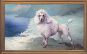 OUR DOGS tweet media